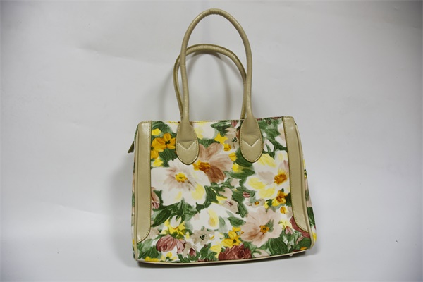 Fashionable lady's bag
